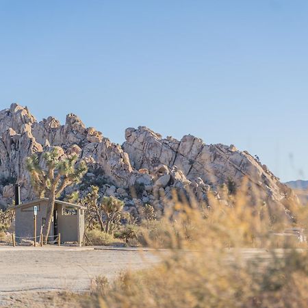 New Property! The Cactus Villas At Joshua Tree National Park - Pool, Hot Tub, Outdoor Shower, Fire Pit Twentynine Palms Esterno foto
