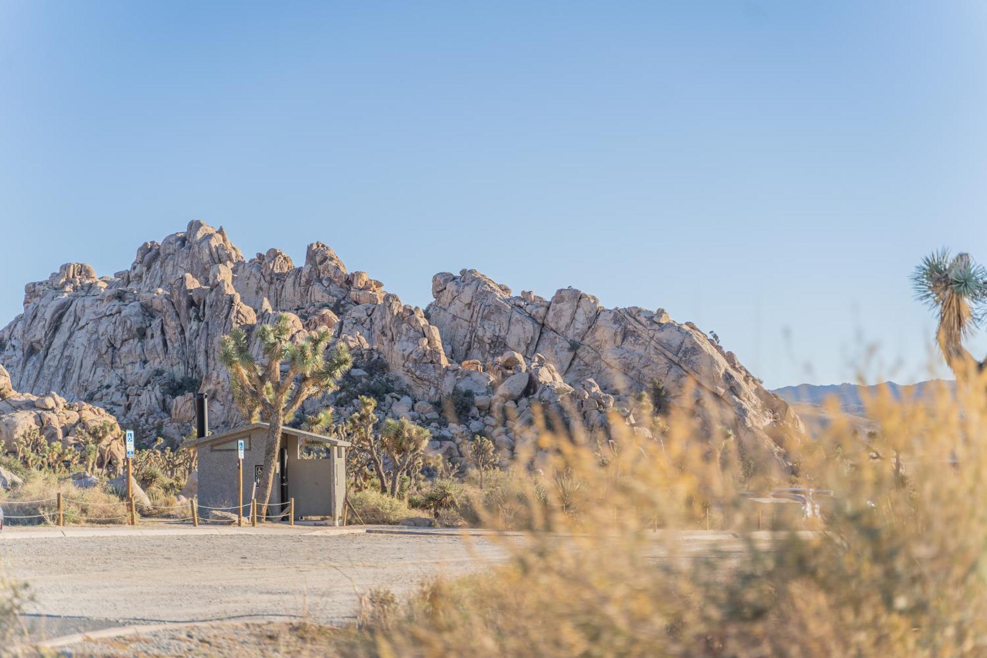 New Property! The Cactus Villas At Joshua Tree National Park - Pool, Hot Tub, Outdoor Shower, Fire Pit Twentynine Palms Esterno foto