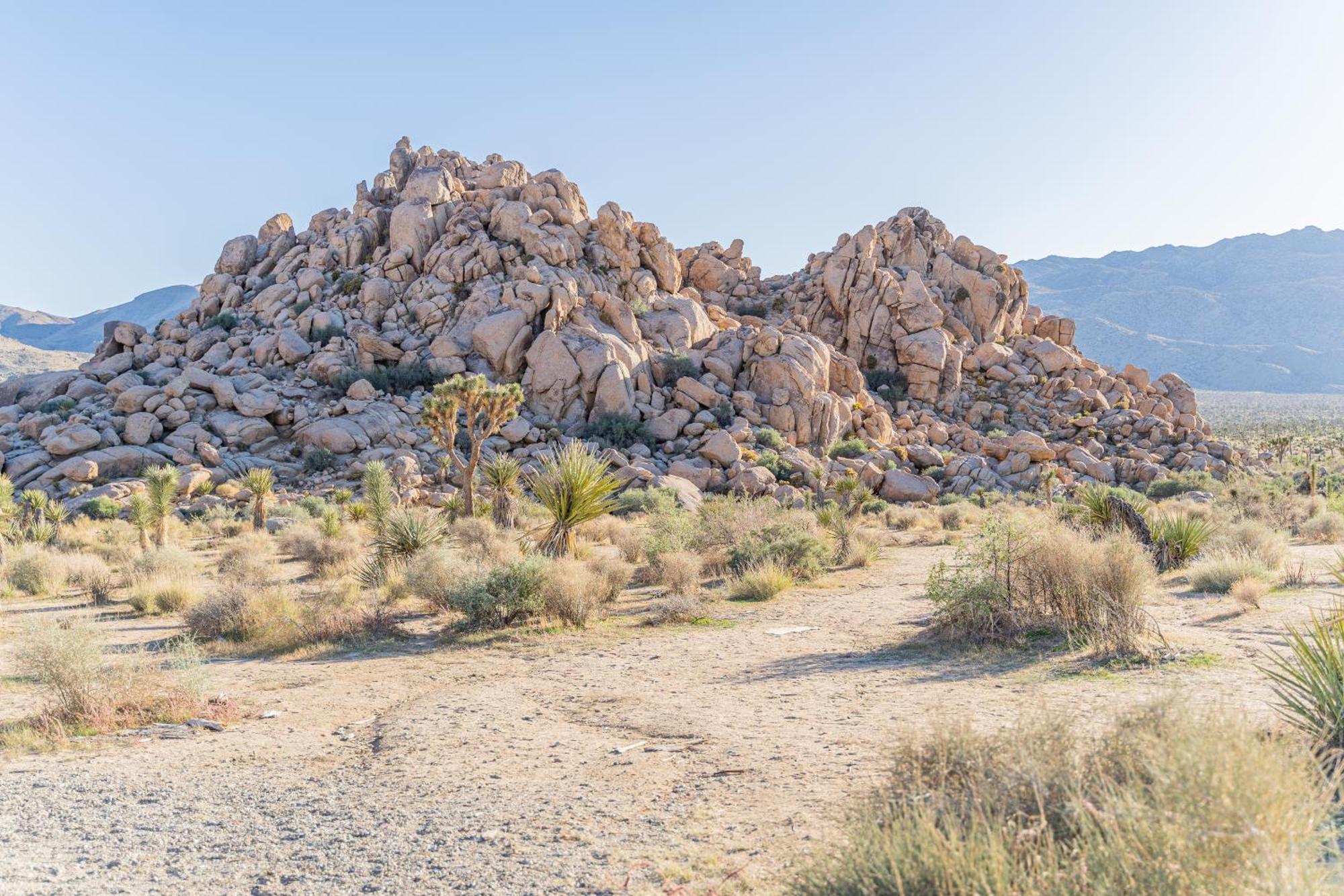 New Property! The Cactus Villas At Joshua Tree National Park - Pool, Hot Tub, Outdoor Shower, Fire Pit Twentynine Palms Esterno foto