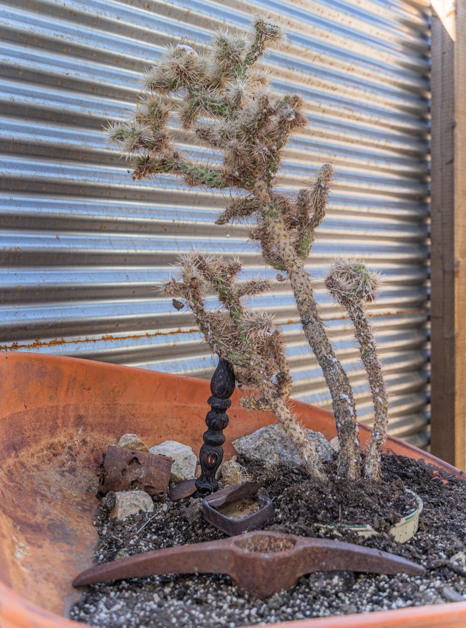 New Property! The Cactus Villas At Joshua Tree National Park - Pool, Hot Tub, Outdoor Shower, Fire Pit Twentynine Palms Camera foto